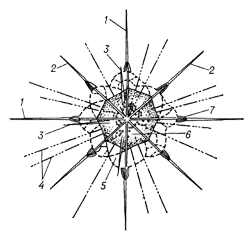 Acanthometra elastica