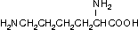 Лизин (Лиз, Lys)