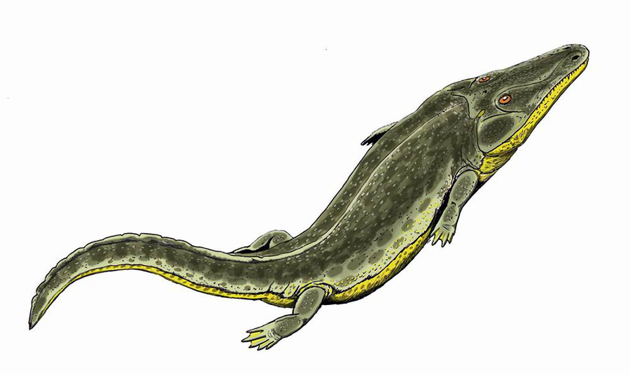 Benthosuchus sushkini (реконструкция)