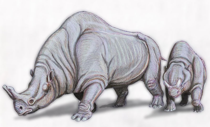 Реконструкция Megacerops coloradensis
