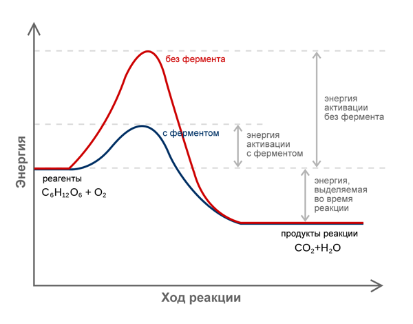 Энергия активации