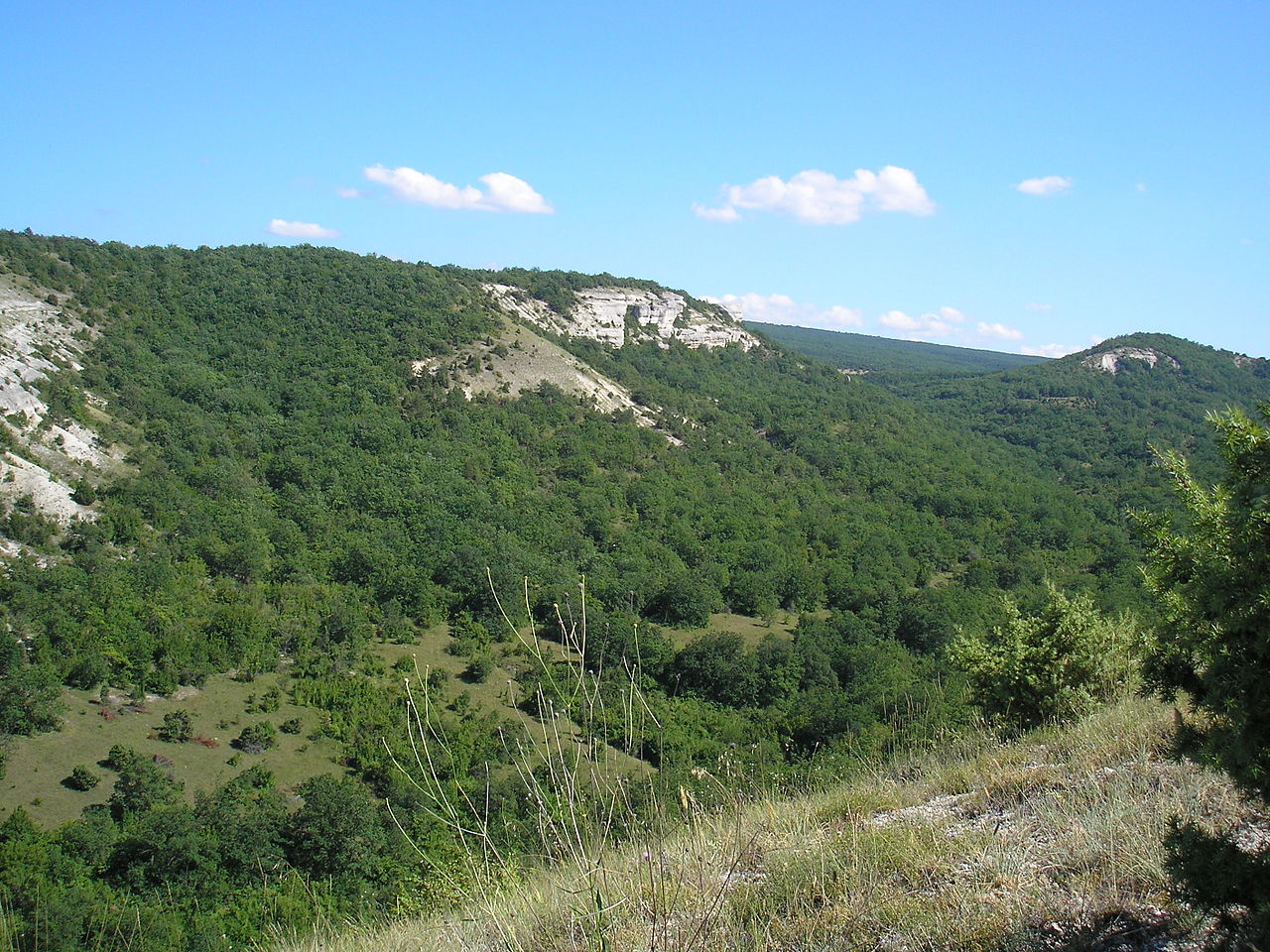 Шибляк в Крымских горах