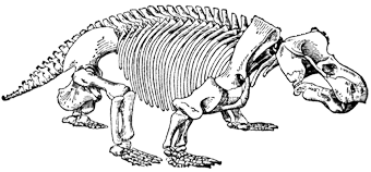 Скелет триасового аномодонта Kannemeyeria wilsoni