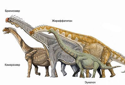 Зауроподы